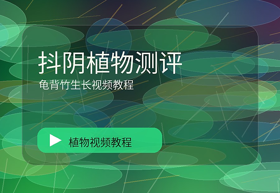 棠花绿社