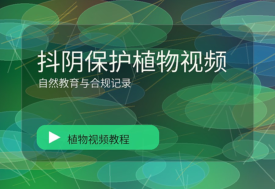 棠花绿社